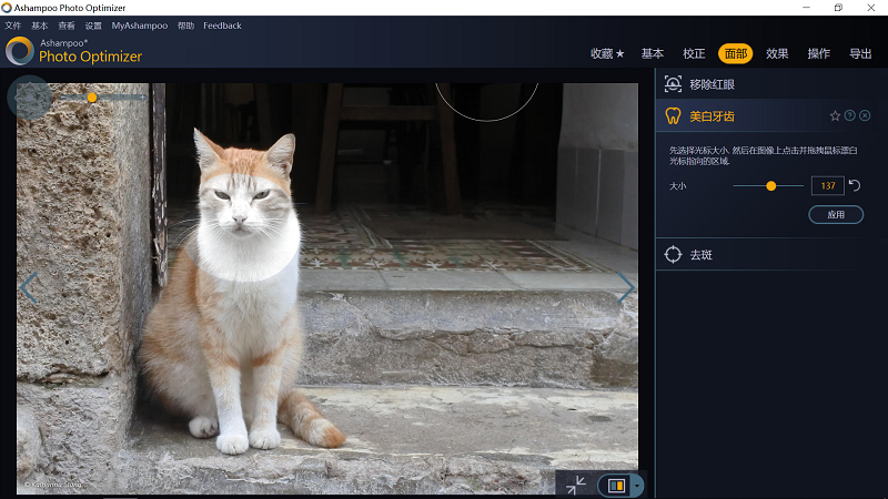 Ashampoo Photo Optimizer 破解版.png