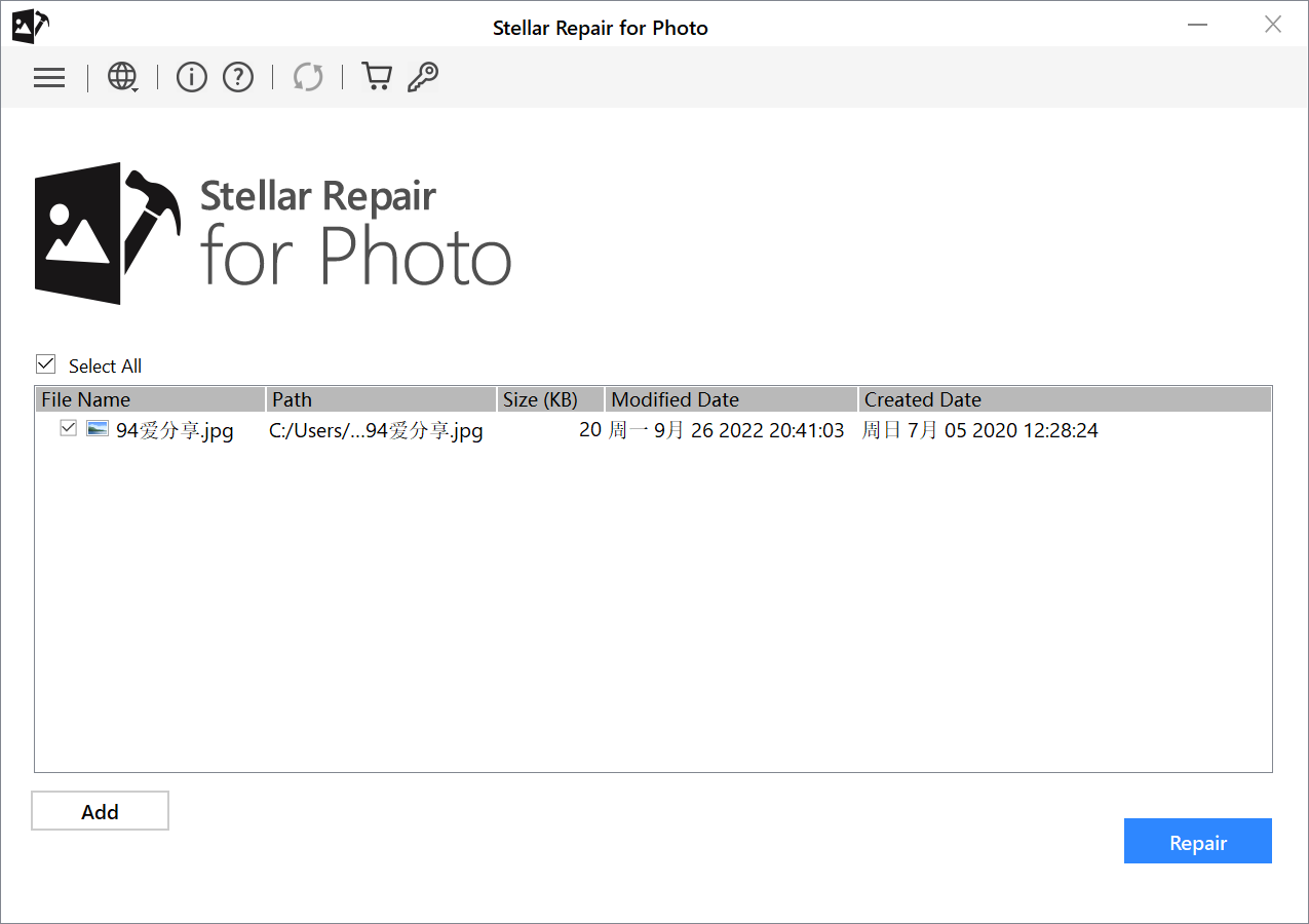 Stellar Repair for Photo 破解版.png