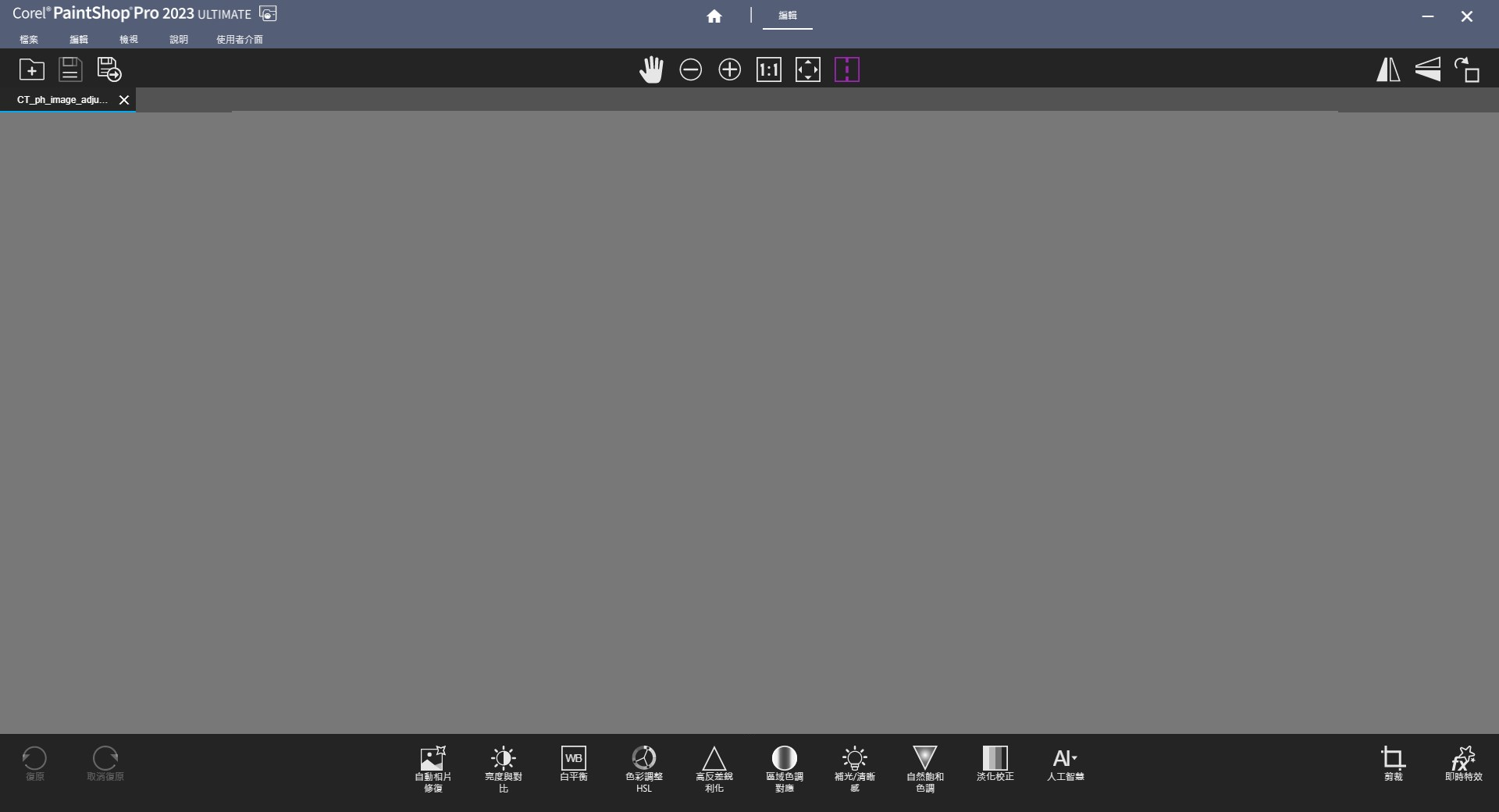 Corel PaintShop.png