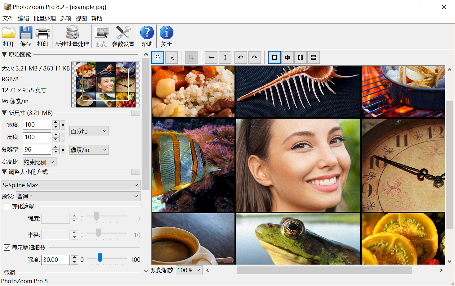 PhotoZoom Pro（图像无损放大工具）v8.2.0 绿色破解版