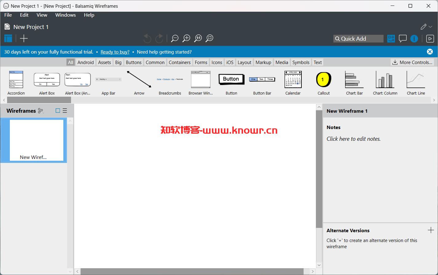 Balsamiq Wireframes 4.png