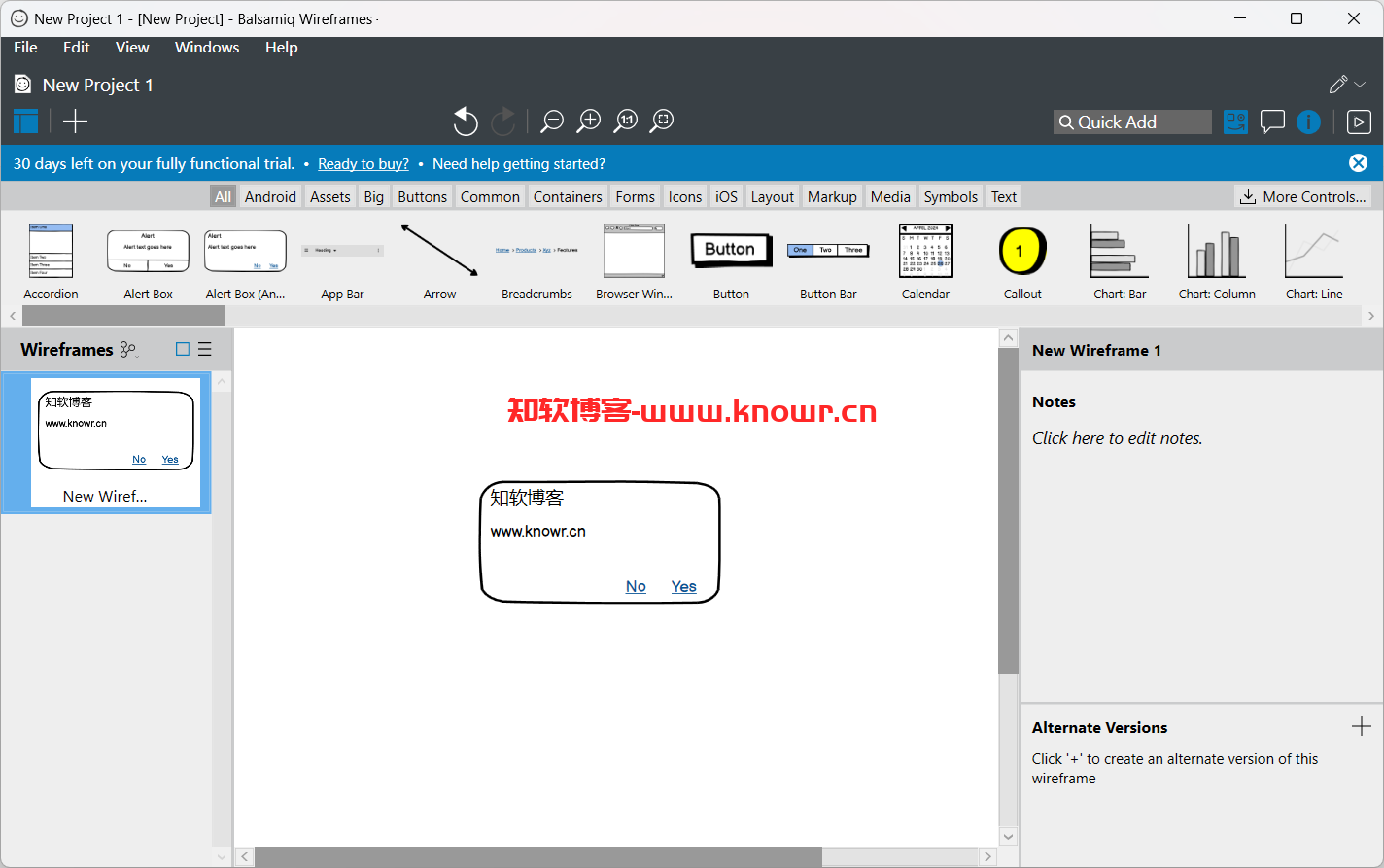 Balsamiq Wireframes 破解版.png