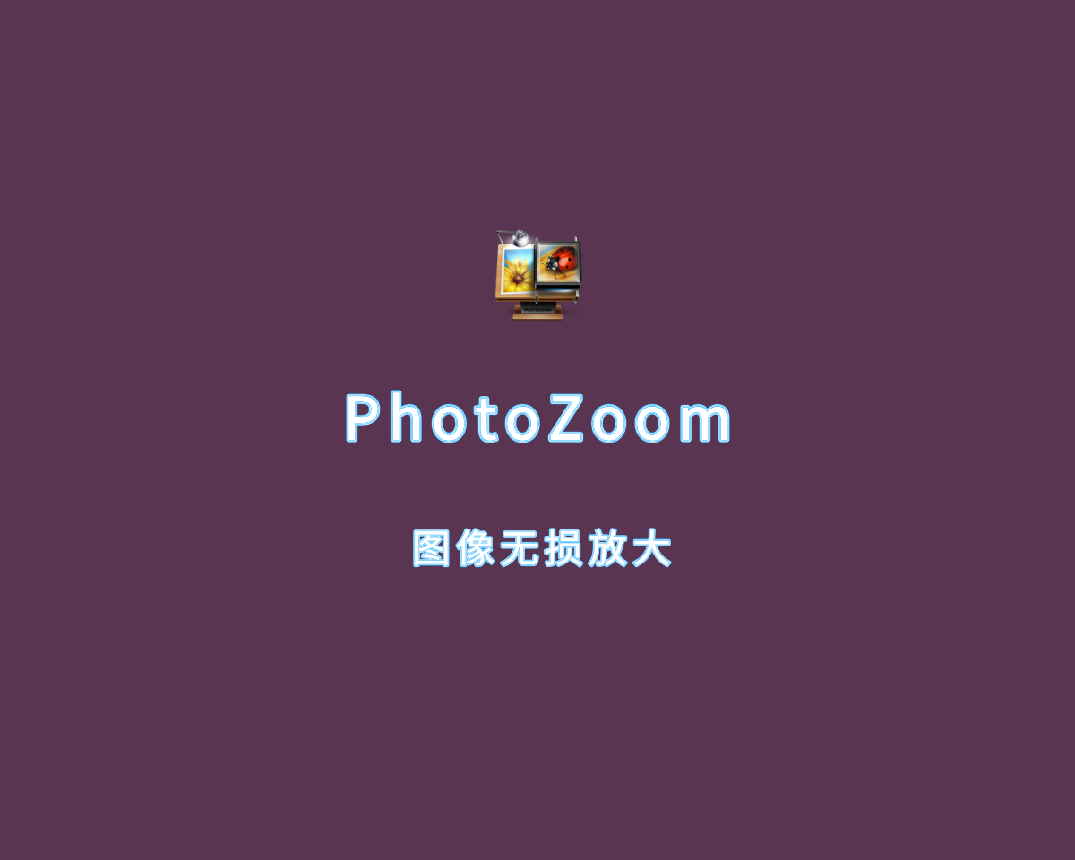 图像无损放大 PhotoZoom Pro v9.0.2 绿色专业版