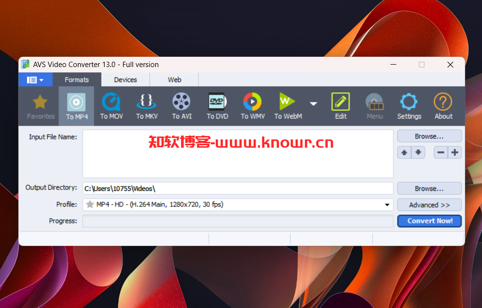 AVS Video Software 13.png