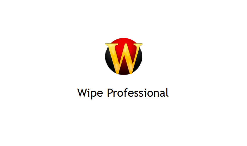 Wipe Professional 2025.png