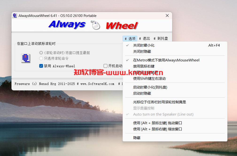 AlwaysMouseWheel 6.png