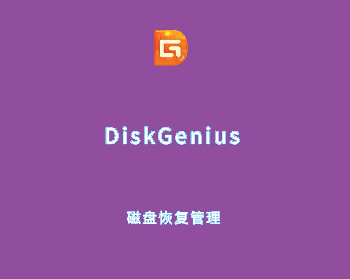 DiskGenius Professional 6.0.0.1631 绿色破解版-磁盘管理及恢复工具
