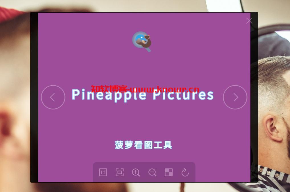 Pineapple Pictures 绿色版.jpg