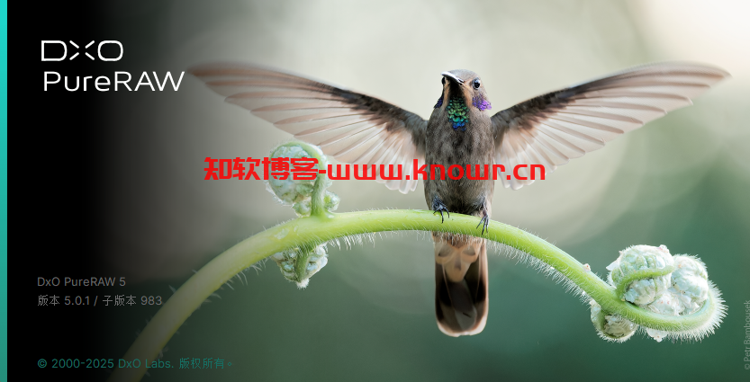 DxO PureRAW.png