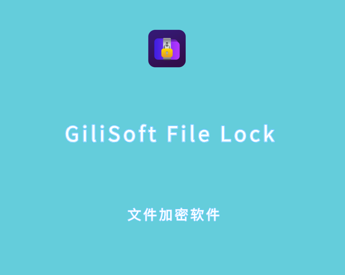 GiliSoft File Lock Pro v14.0.0 中文破解版-电脑文件加密软件