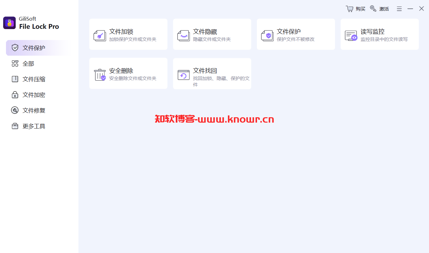 GiliSoft File Lock.png