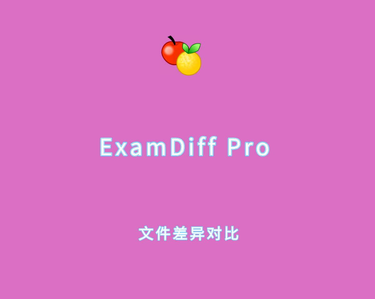 ExamDiff Pro v16.0.1.1 绿色专业版-文件差异对比和删除工具