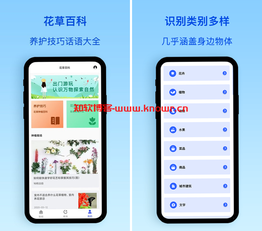 植物识别Ap.png