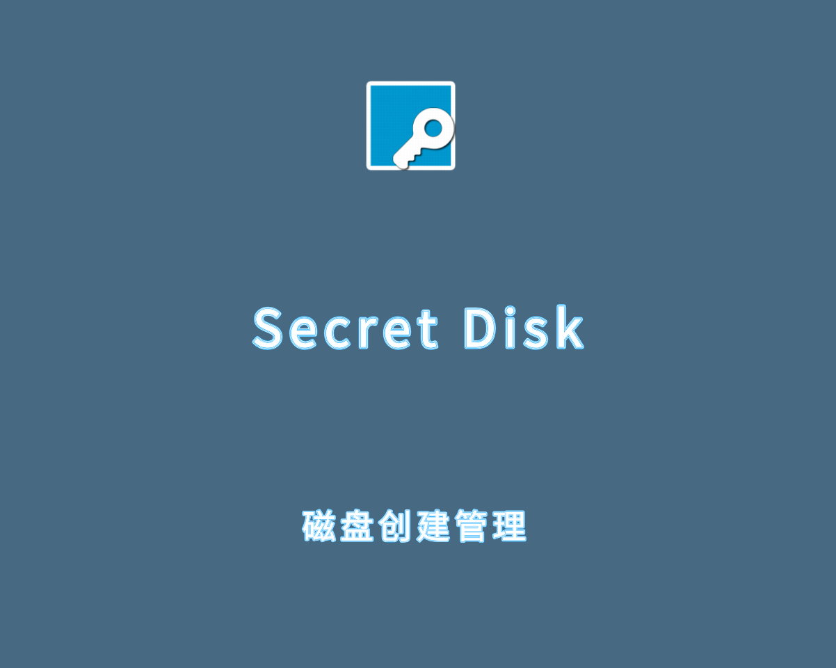 Secret Disk Professional 2025 v310 磁盘创建及加密软件